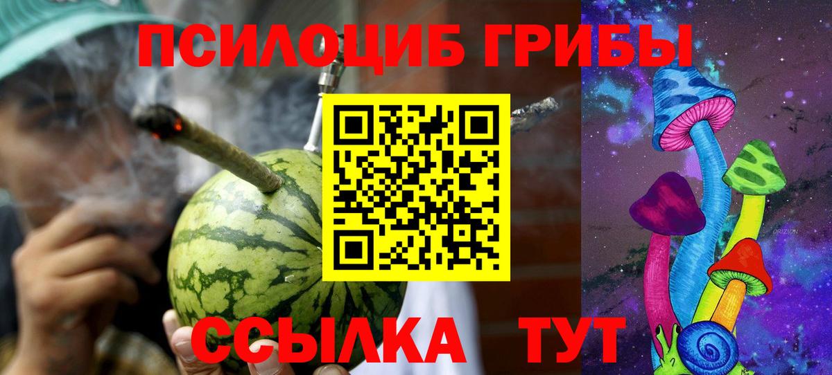 Псилоцибиновые грибы GOLDEN TEACHER Родники