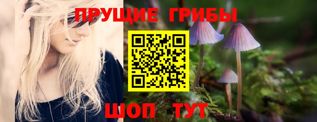 Родники  Псилоцибиновые грибы Magic Shrooms  купить наркотик  Вход с VPN 
